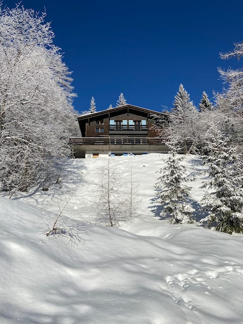 Chalet les Boulégons – 1,500 M
