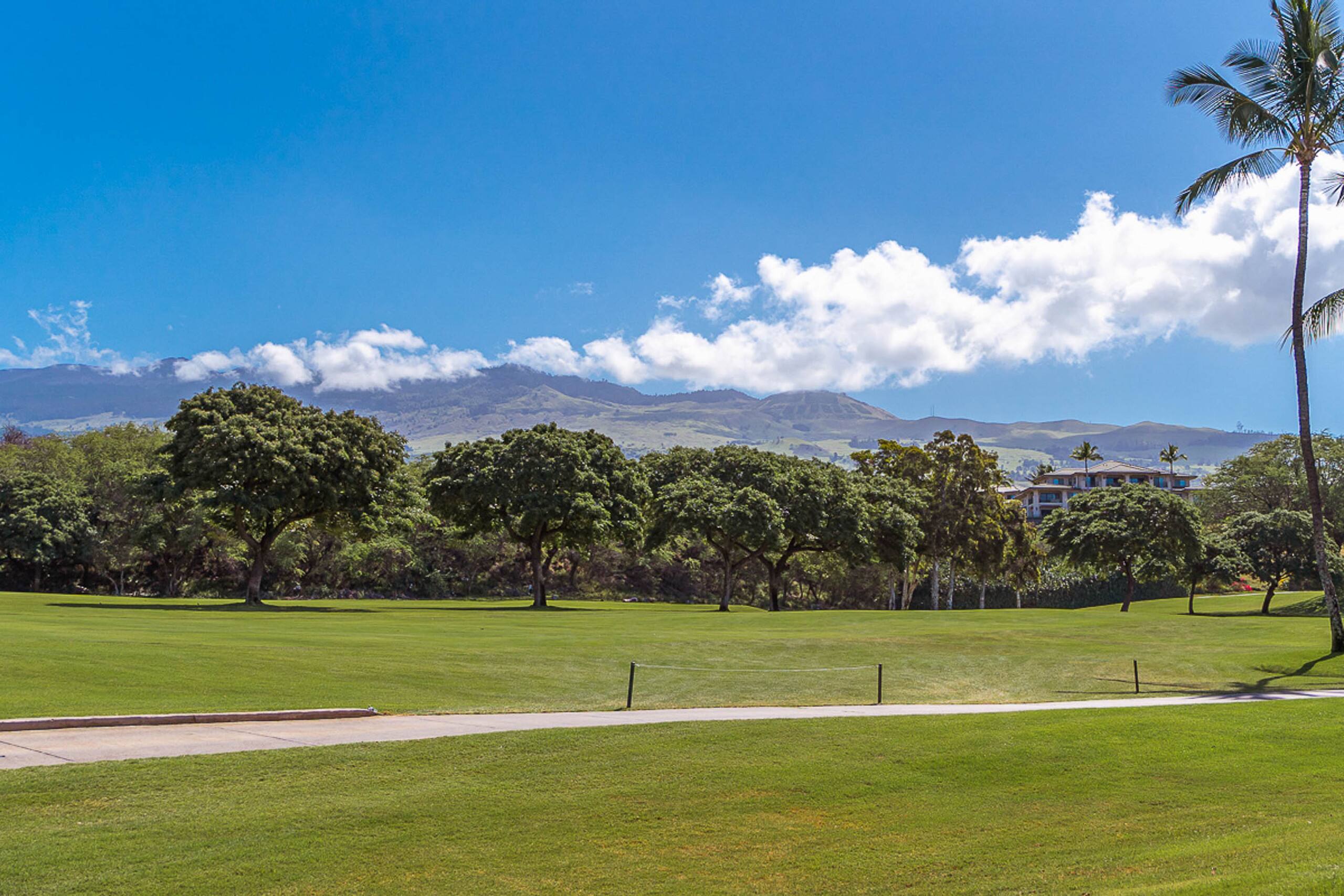 Condo in Wailea · ★4.17 · 3 bedrooms · 4 beds · 2 baths - Image 31