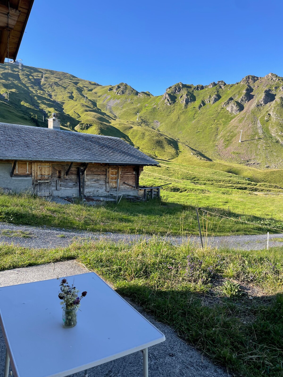 A view of the rustic hut surrounded by lush green mountains. A small table is positioned in the foreground, adorned with a vase of wildflowers. The sunlight highlights the natural beauty of the landscape, creating a serene and peaceful atmosphere.