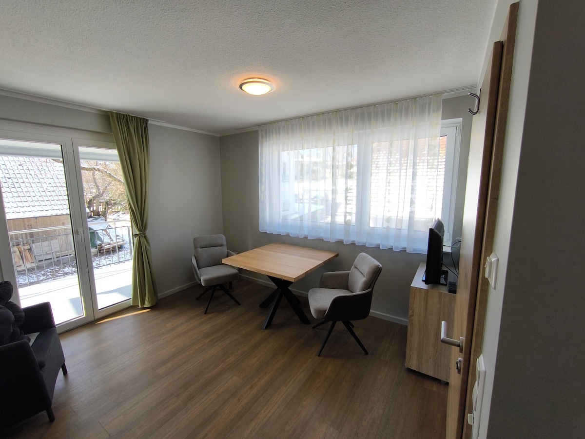 Proprietà Airbnb di successo: Apartment kitchen - balcony - lake view - lake access a Immenstaad Am Bodensee