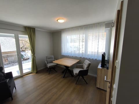 Successful Airbnb property: Apartment kitchen - balcony - lake view - lake access in Immenstaad Am Bodensee