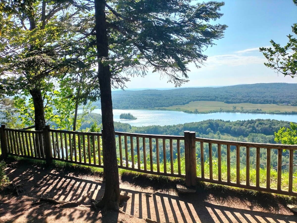 A scenic viewpoint is framed by tall trees, offering a panoramic view of the serene lake and green landscape below. The wooden railing adds structure to the natural setting, where sunlight casts gentle shadows on the ground.