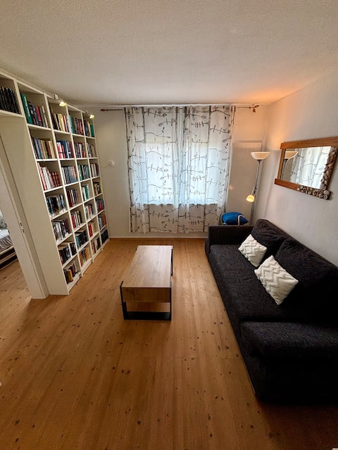 Popular Airbnb listing: Quiet apartment right on the Main – near Frankfurt in Hesse