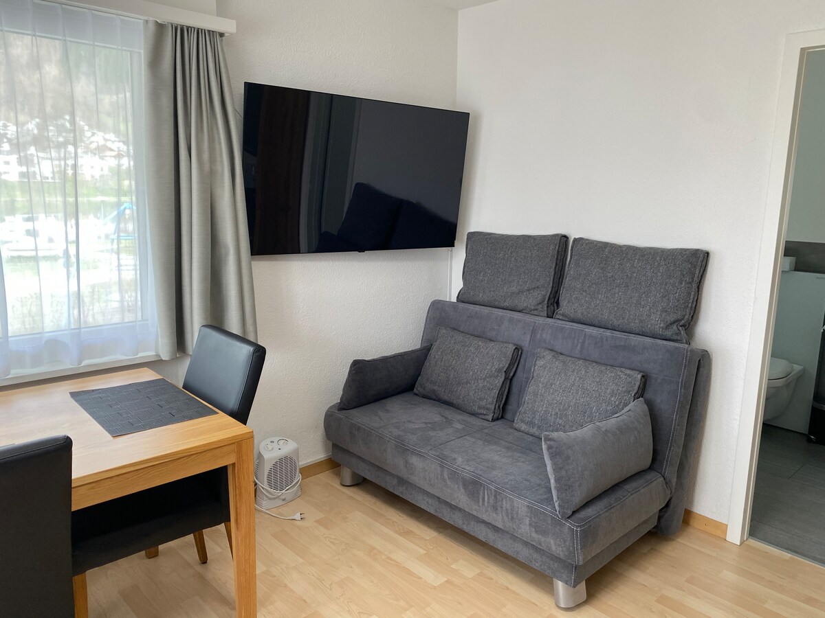 Top performing Airbnb: Beautiful studio right on the lake and at the bus stop in Laax