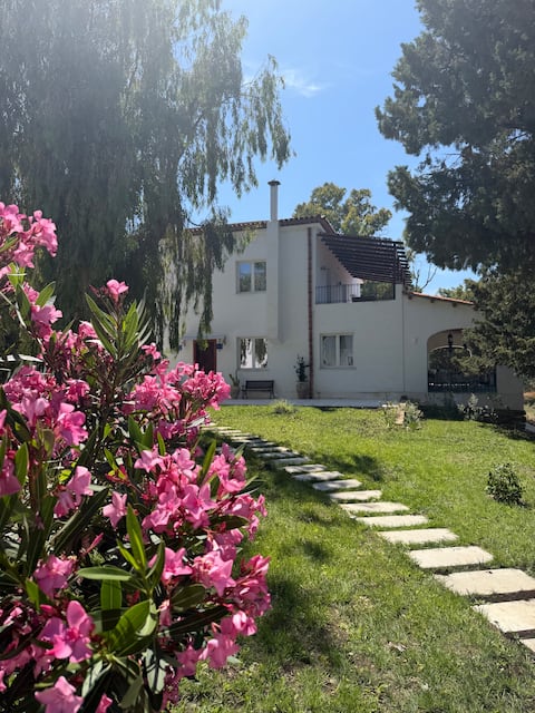 Triolo's home - Castel di Tusa