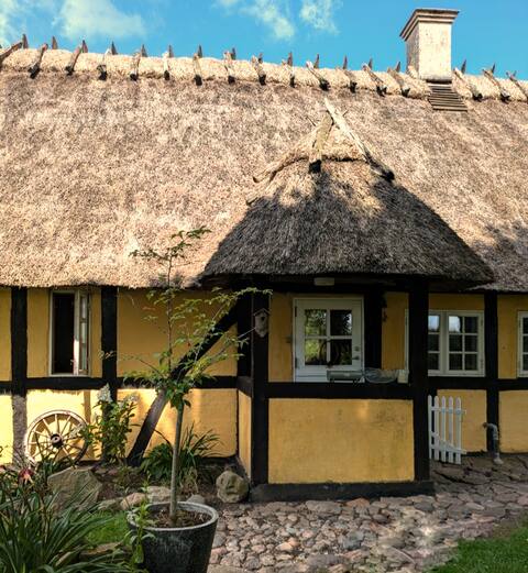 Idyllic forest house overlooking lake and meadow.