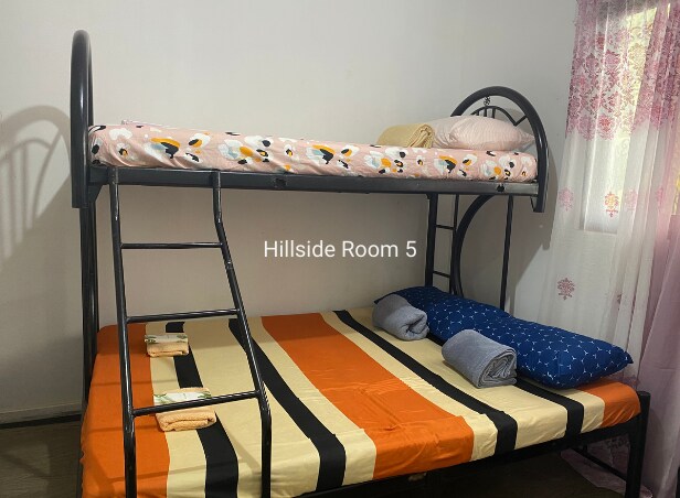 hillside loft bunk bed