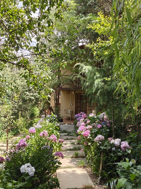 Cob House in Himalayan Orchard 2