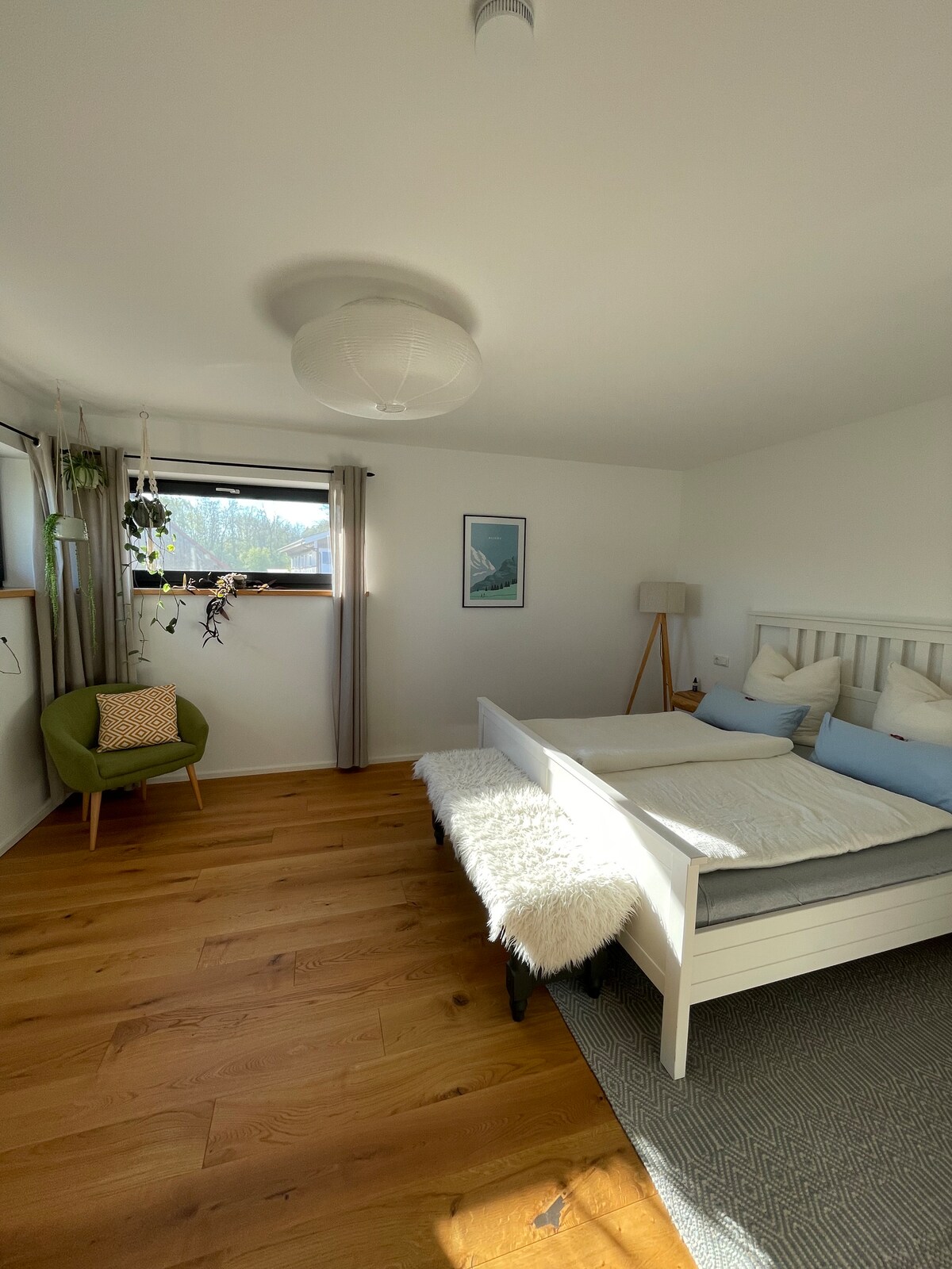 Good morning in Wolkenberg☀️…View of the meadows and the sheep… 