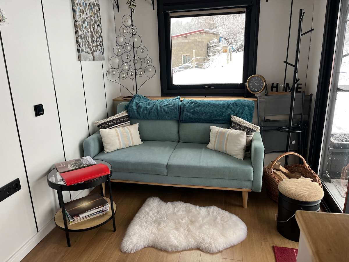 Popular Airbnb listing: Tiny house in the Haut-Jura in Saint Claude