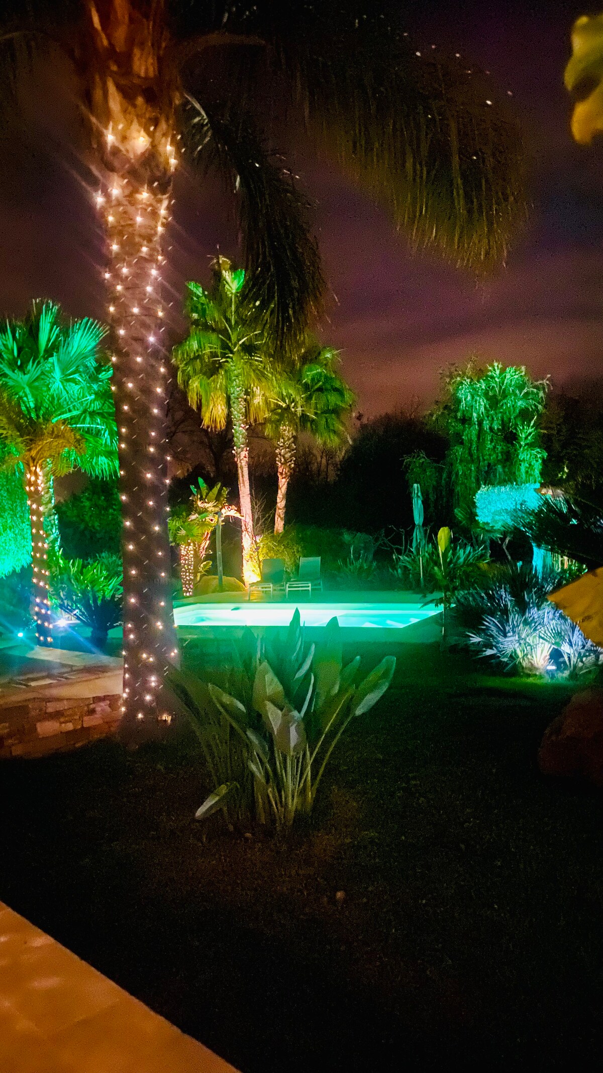 A private swimming pool is illuminated in soft green light, surrounded by lush tropical plants and palm trees. Twinkling fairy lights are wrapped around the trees, creating a serene and inviting atmosphere in the garden at night.