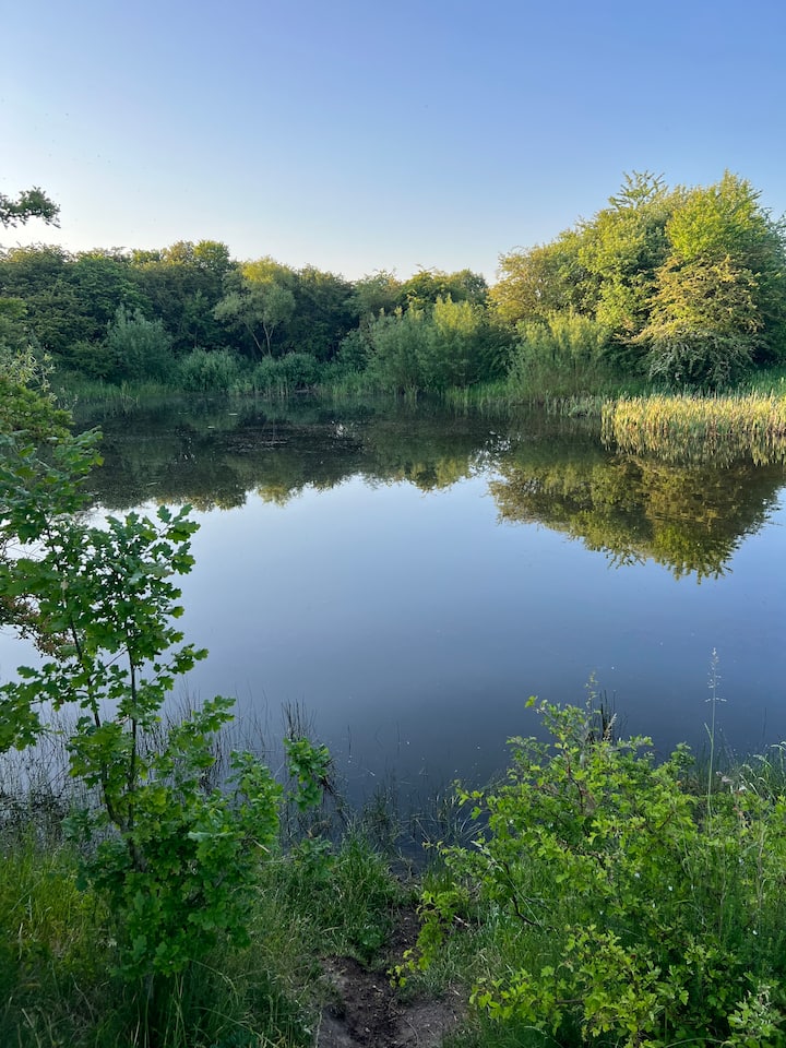 Oase Tæt På Natur, Kultur Og By - Aarhus