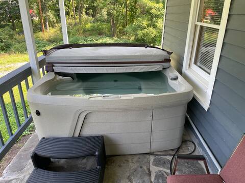 Old farmhouse with Hot tub in the Finger Lakes