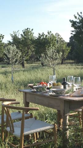 Masserina D’Aloia – Little treasure in nature gallery image 3