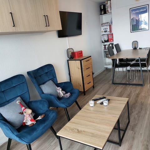 Successful Airbnb property: 28m2 Flat in French Alps in Villarembert