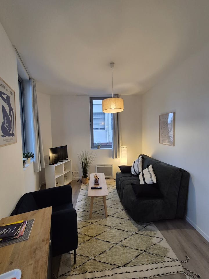 T2 Rénové Quartier Saint-cyprien - Toulouse