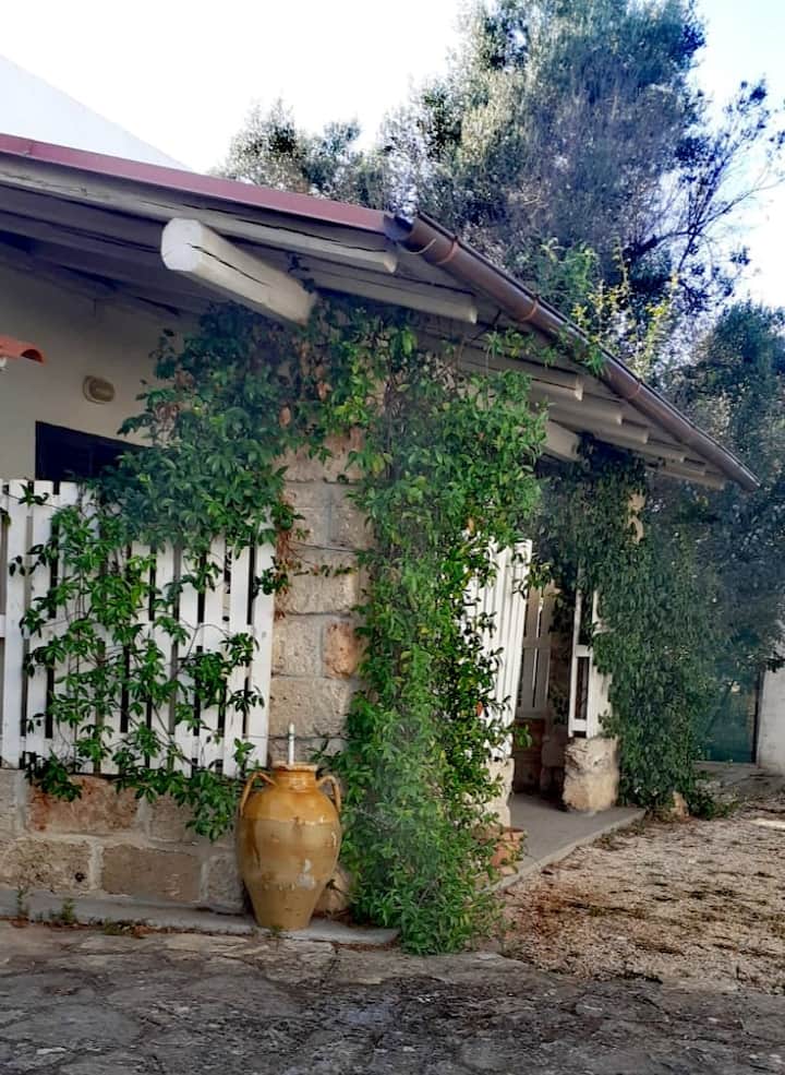 La Villetta 
Del Trullo Del Falegname - Carovigno