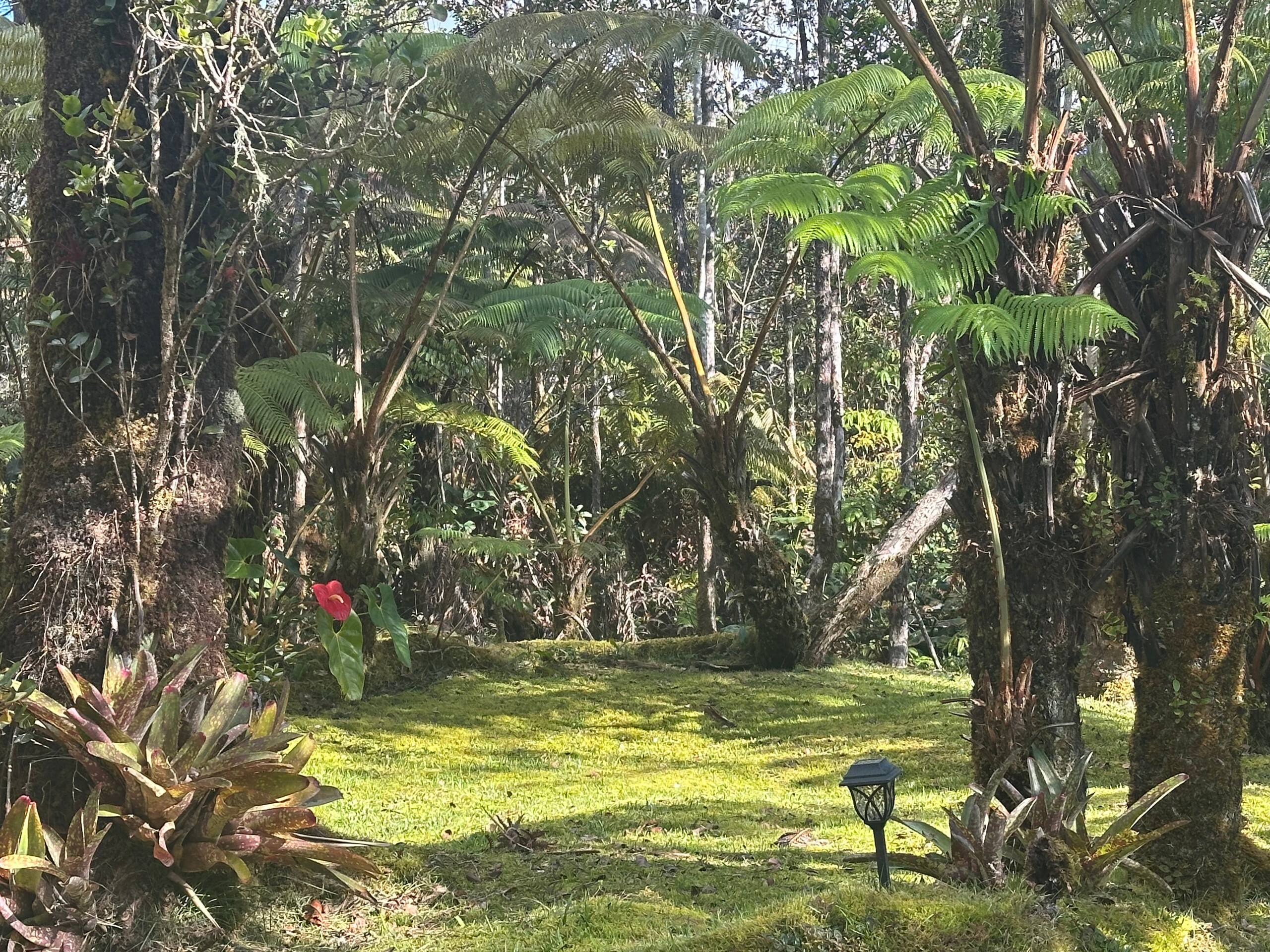 The Jungalow - Image 33