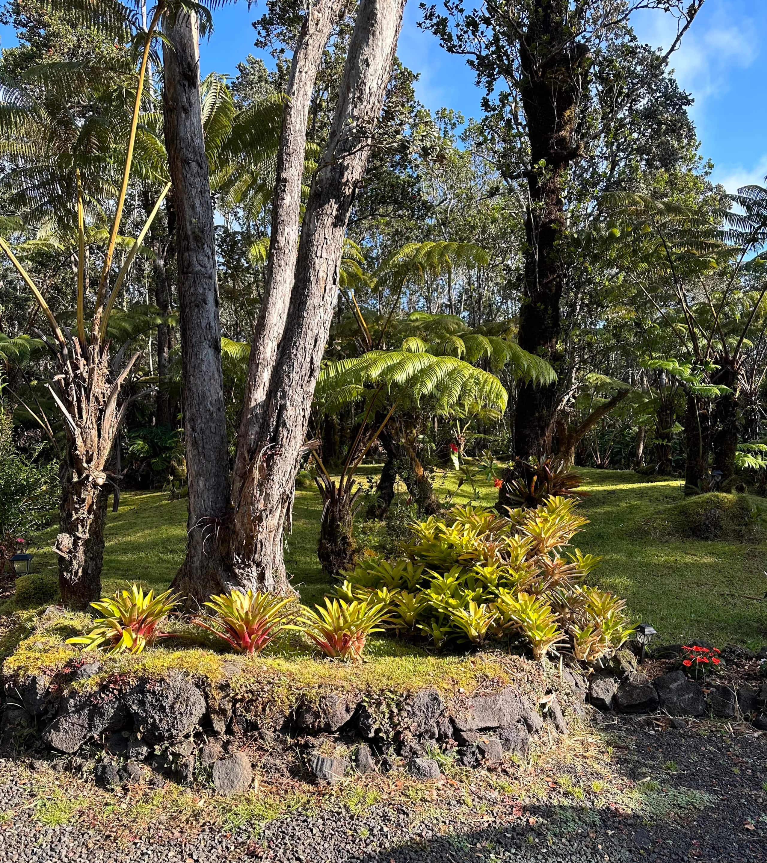 The Jungalow - Image 32