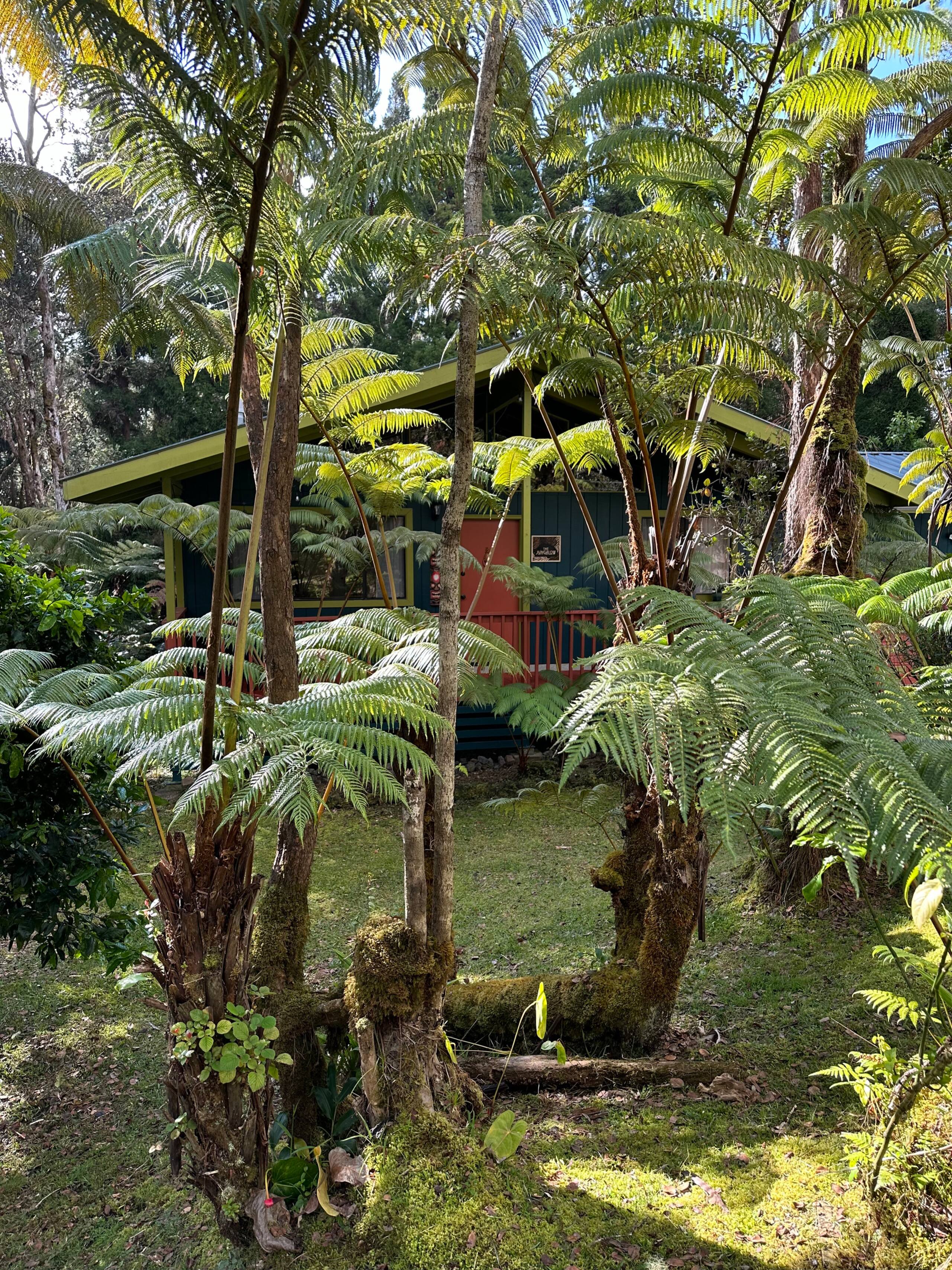 The Jungalow - Image 34