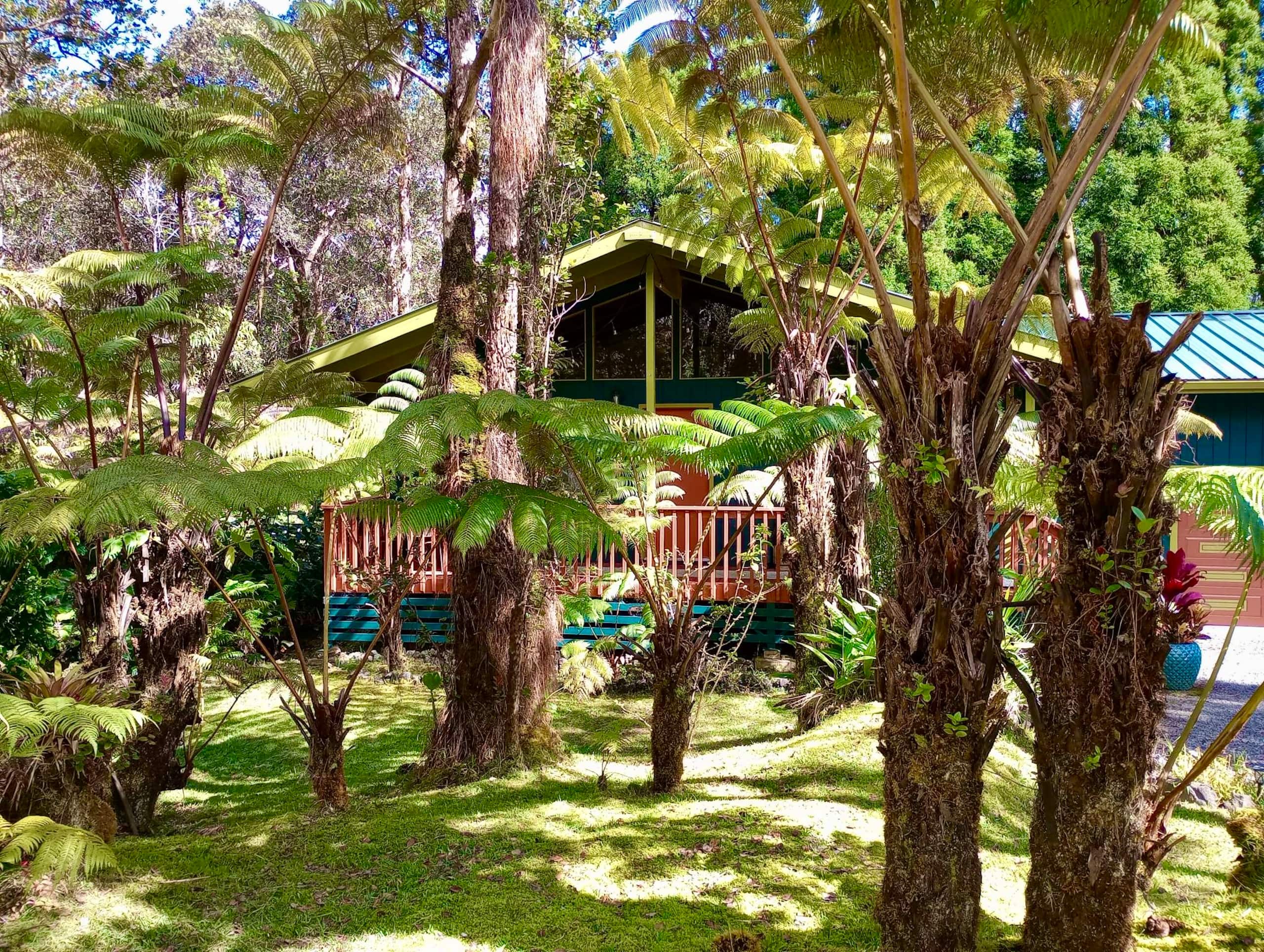The Jungalow - Image 28