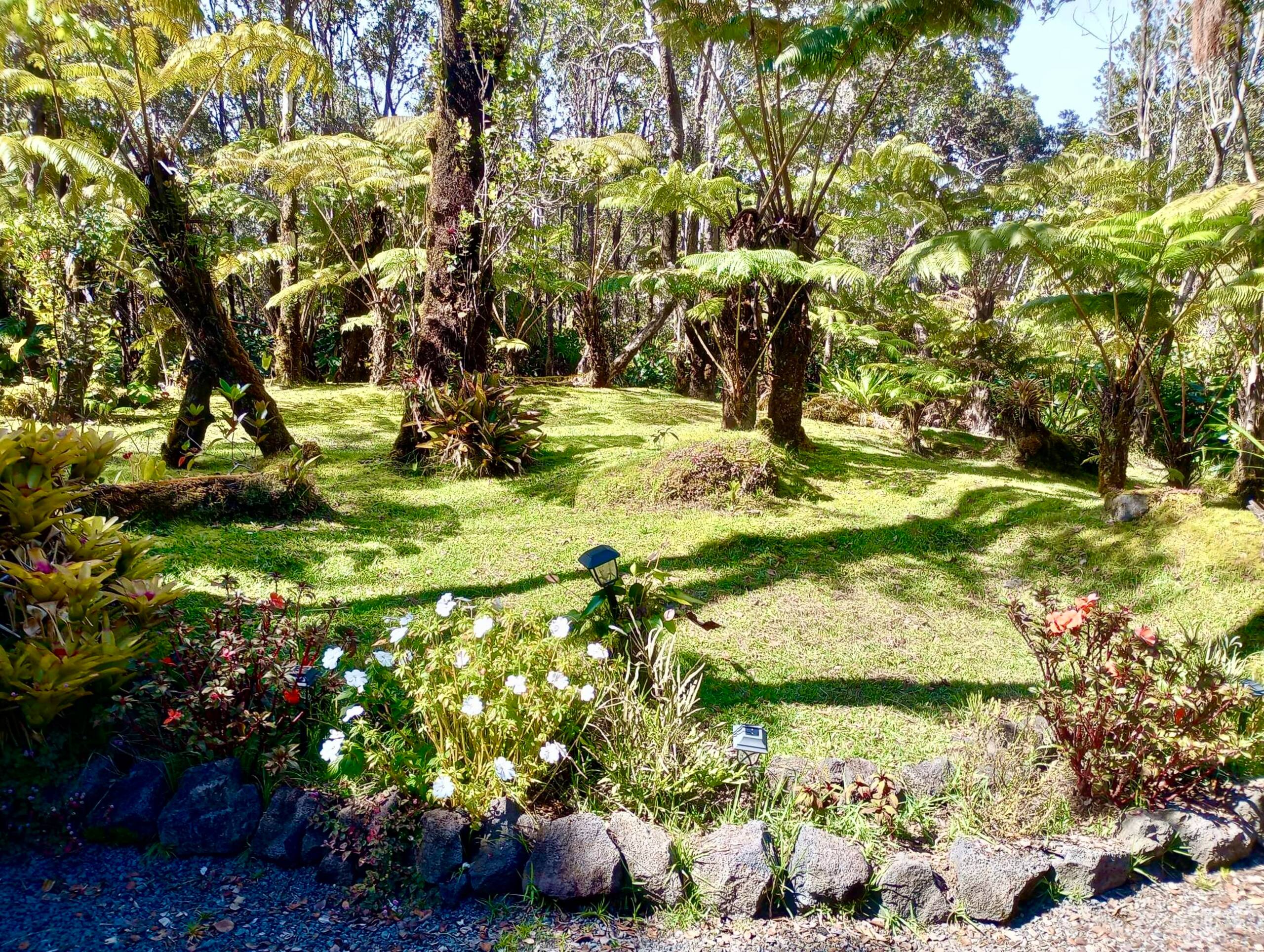 The Jungalow - Image 29
