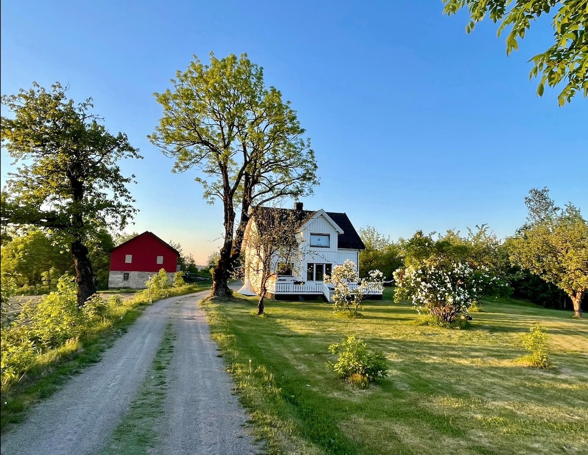 A gravel driveway leads to a charming white house surrounded by lush greenery and blooming flowers. To the left, a red barn contrasts with the tranquil landscape, which features trees and an open lawn bathed in soft evening light.