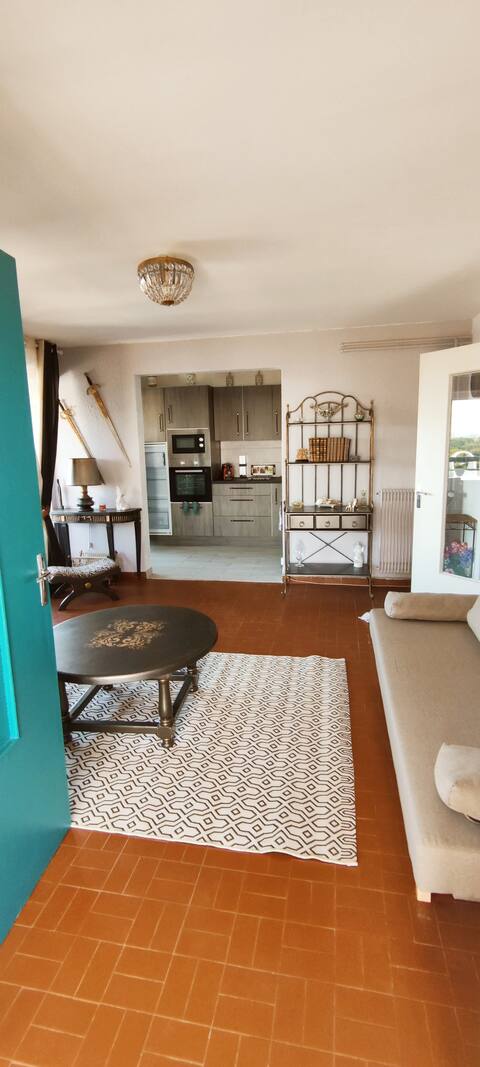 Top Airbnb: Beautiful Vacation Rental: Sea View & Pool in La Grande Motte