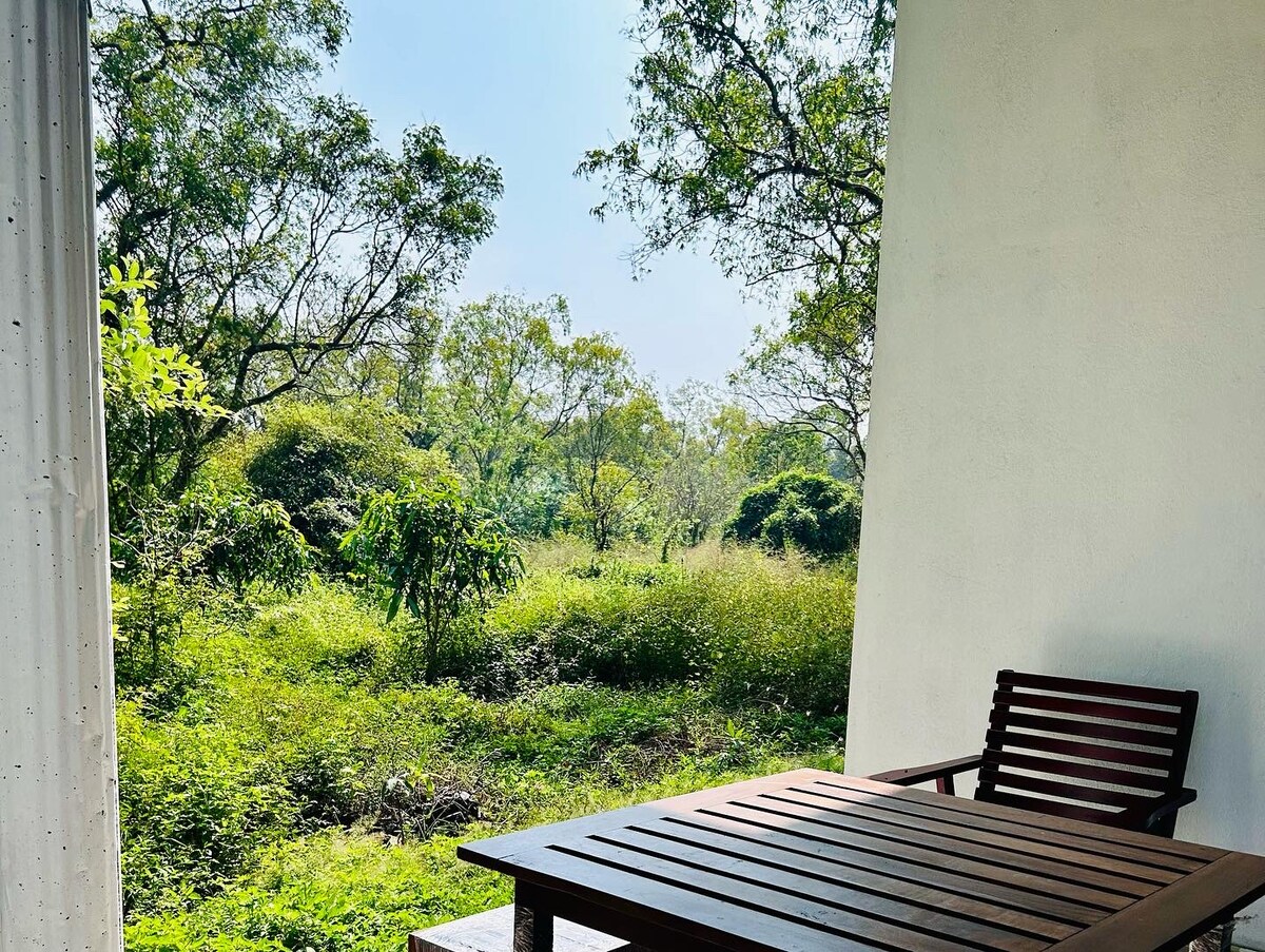 A wooden table and chair set is positioned on a covered patio, overlooking a lush green landscape. Sunlight filters through the trees, highlighting the vibrant foliage and creating a tranquil outdoor space perfect for relaxation.