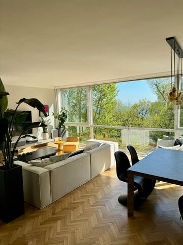 Spacious sunny flat, park and bosphorus view 200m2