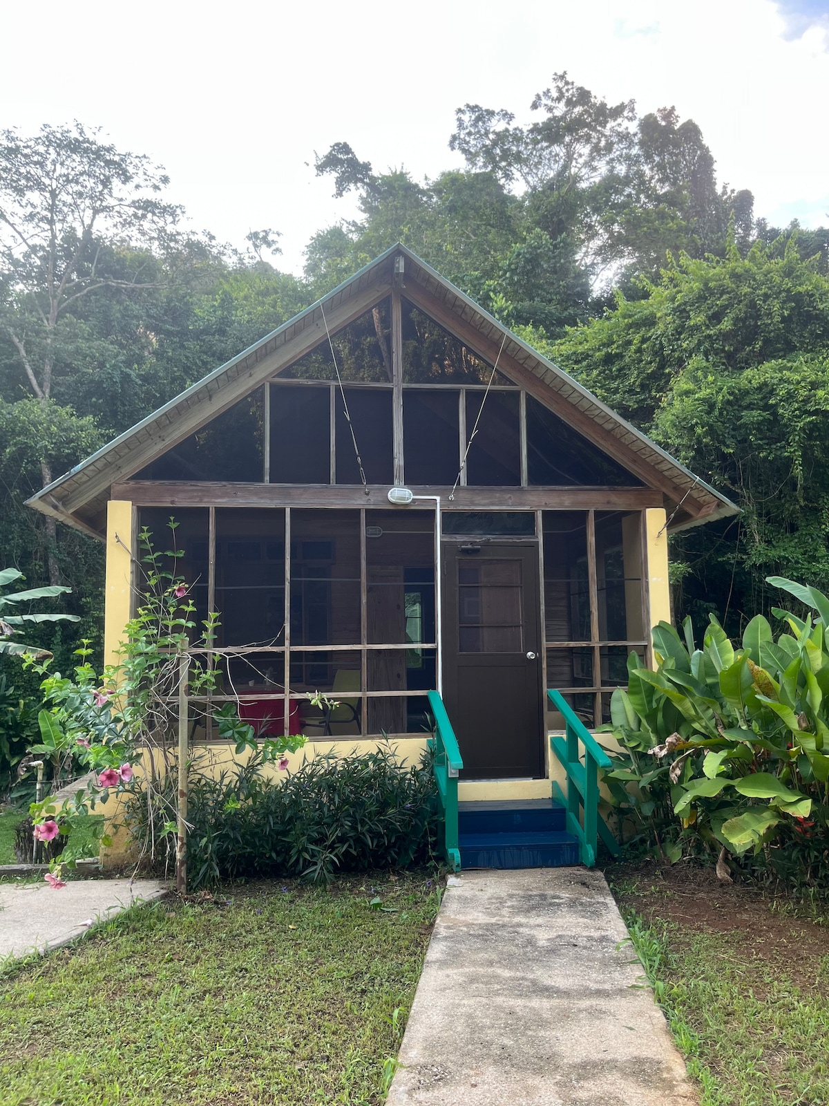 A charming cabin is nestled among lush greenery, featuring a gabled roof and an inviting front porch. Large windows enhance the connection to nature, while a colorful path leads to the door, surrounded by tropical plants and vibrant flowers.