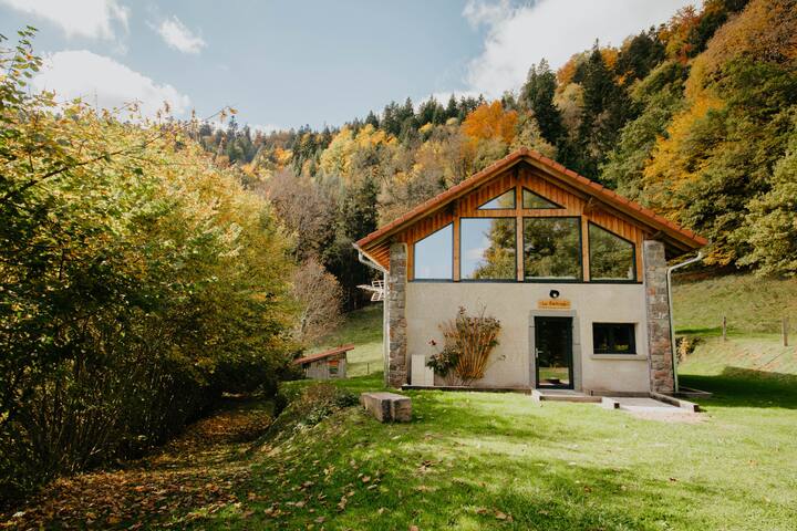Entire home with 2 bedrooms in Saulxures Sur Moselotte - Escapade Lacs et Forêts, entre Gérardmer-La Bresse