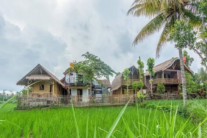 A unique, multi-story house is surrounded by lush green rice fields and palm trees. Traditional thatched roofs cover the structures, which are complemented by wooden balconies and railings. A peaceful rural setting is established by the gentle landscape and overcast sky.
