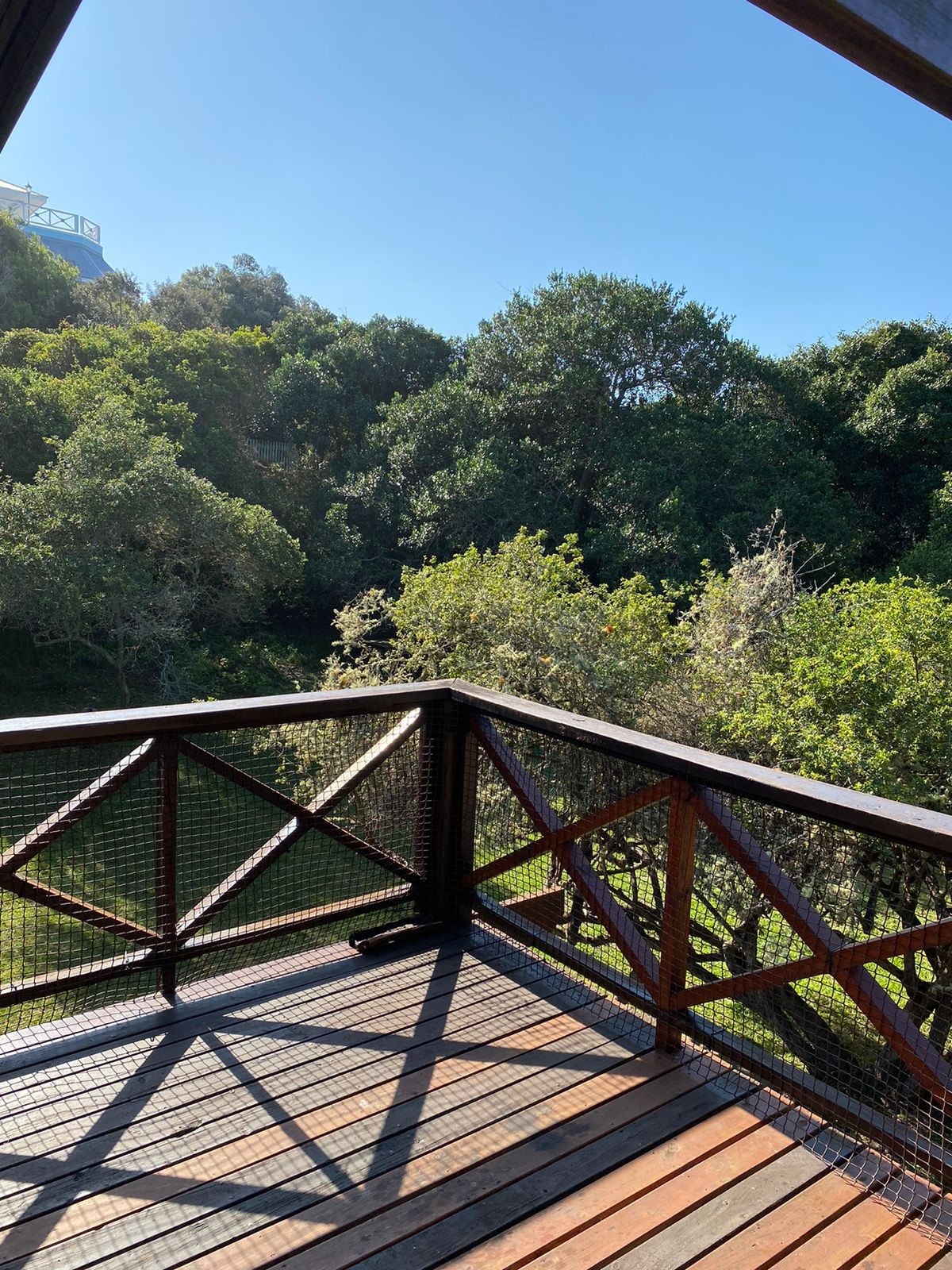 A wooden balcony overlooks a lush green landscape, featuring trees and shrubs that provide privacy. Sunlight shines on the deck, enhancing the natural, serene setting. A railing with a geometric design frames the view, creating a perfect spot for relaxation.