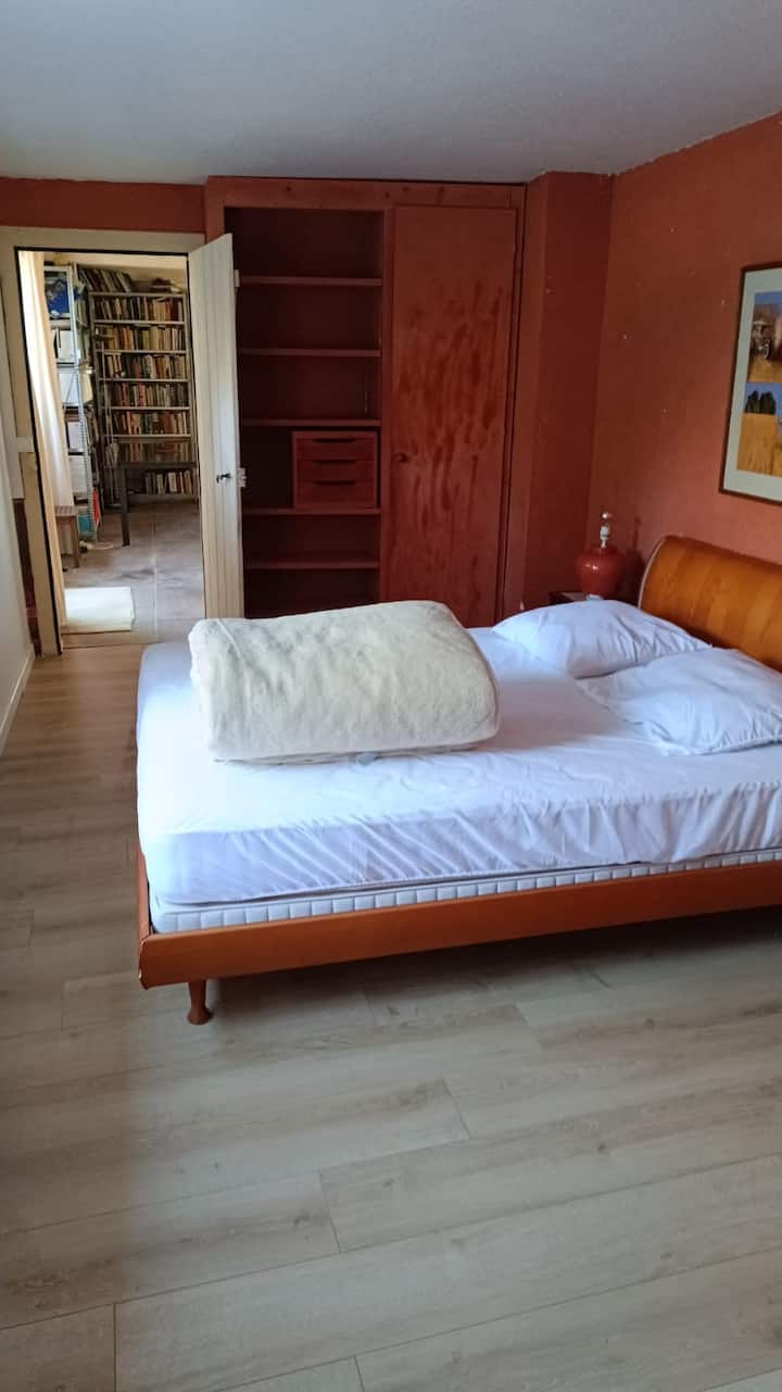 Habitación 1