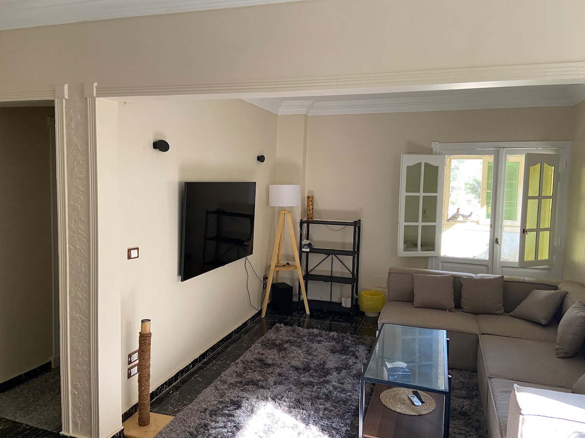 A spacious living area features a comfortable sectional sofa facing a large flat-screen television mounted on the wall. Natural light enters through two windows, illuminating a glass coffee table and a stylish bookshelf in the corner. A soft area rug adds warmth to the space.