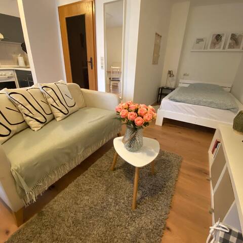 Cozy One-room apartment