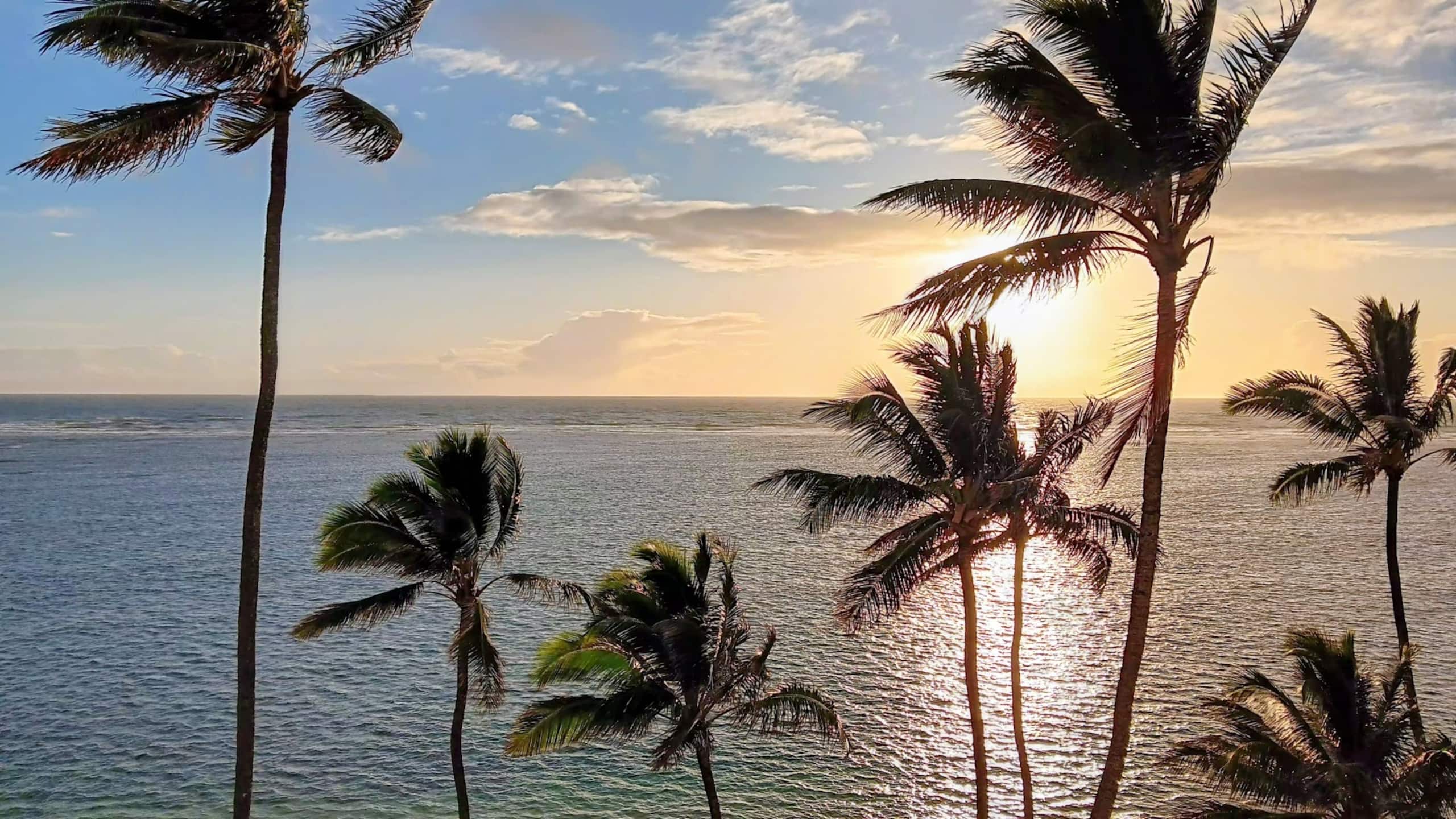 Condo in Hauula · ★4.85 · 1 bedroom · 2 beds · 1 private bath - Image 69