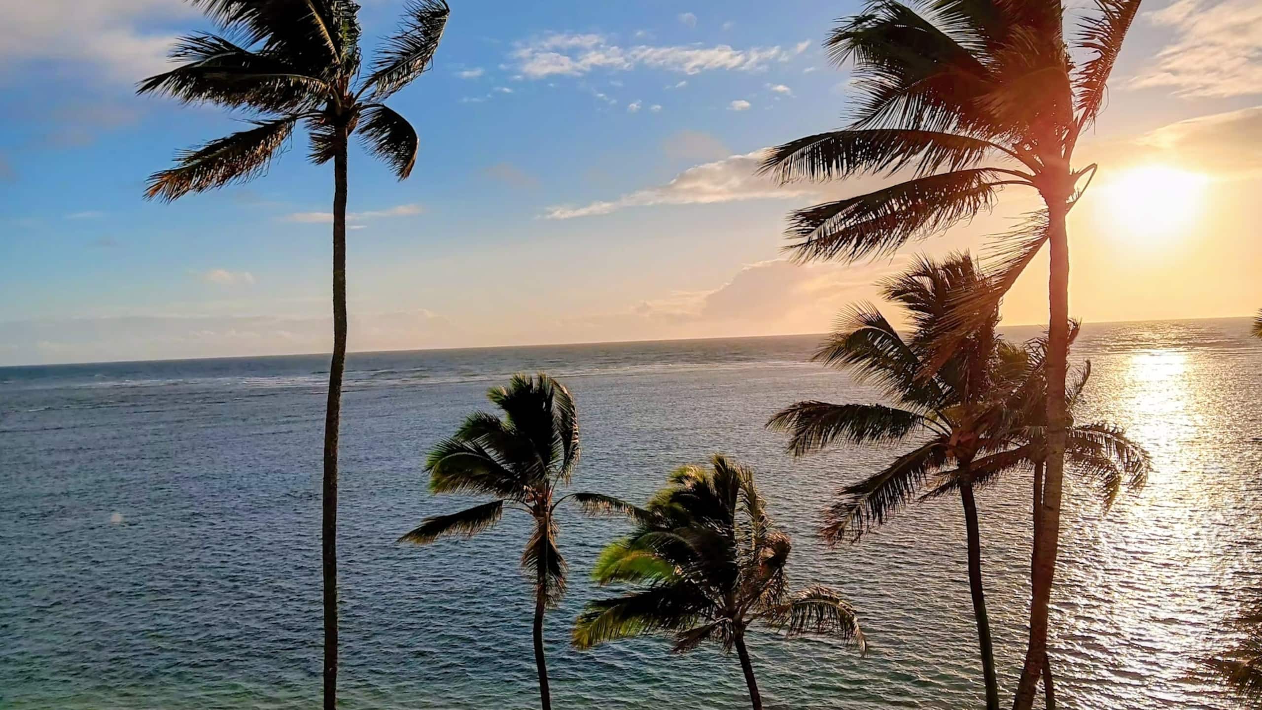 Condo in Hauula · ★4.85 · 1 bedroom · 2 beds · 1 private bath - Image 73
