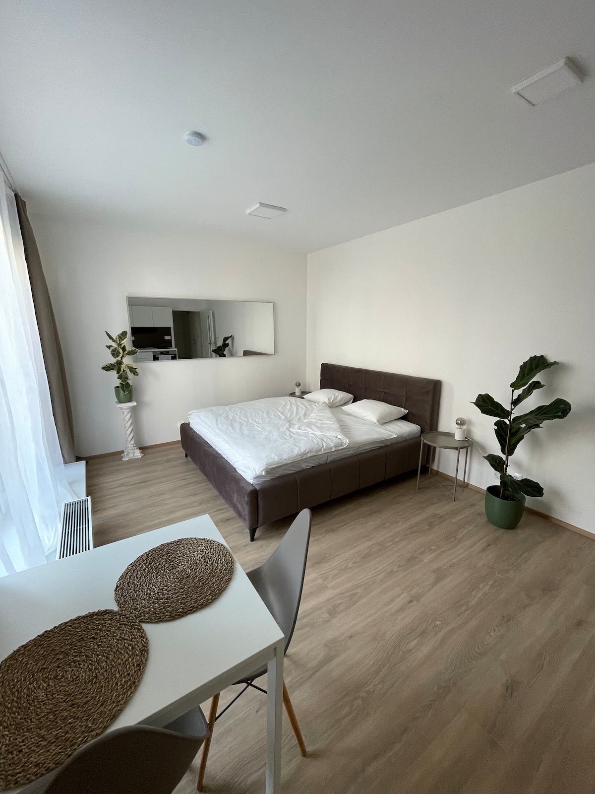 A well-lit room features a spacious bed with a neutral-colored headboard. A small dining table with two chairs is positioned nearby. A mirror reflects the light from a window, and a potted plant adds a touch of greenery to the space.