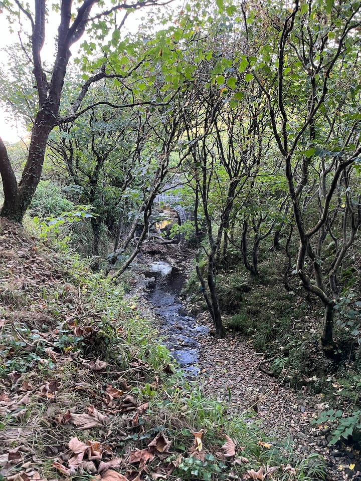 Listing image 51