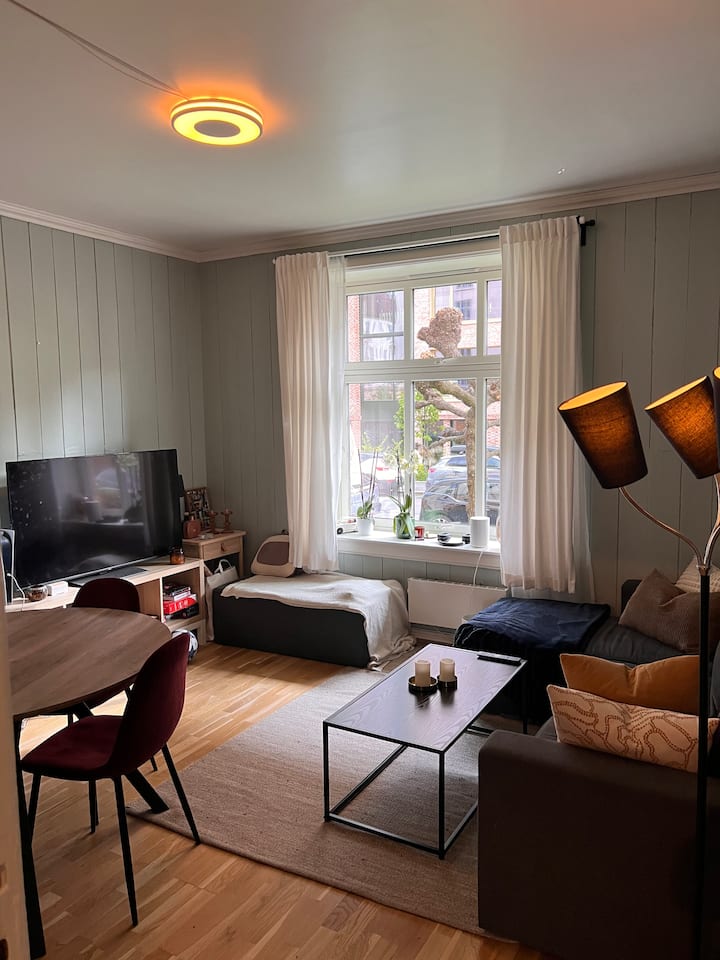 Central, Cozy And Quiet Neighbourhood In Oslo - Oslo