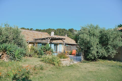 Spacious Provencal cottage in the heart of an organic vineyard