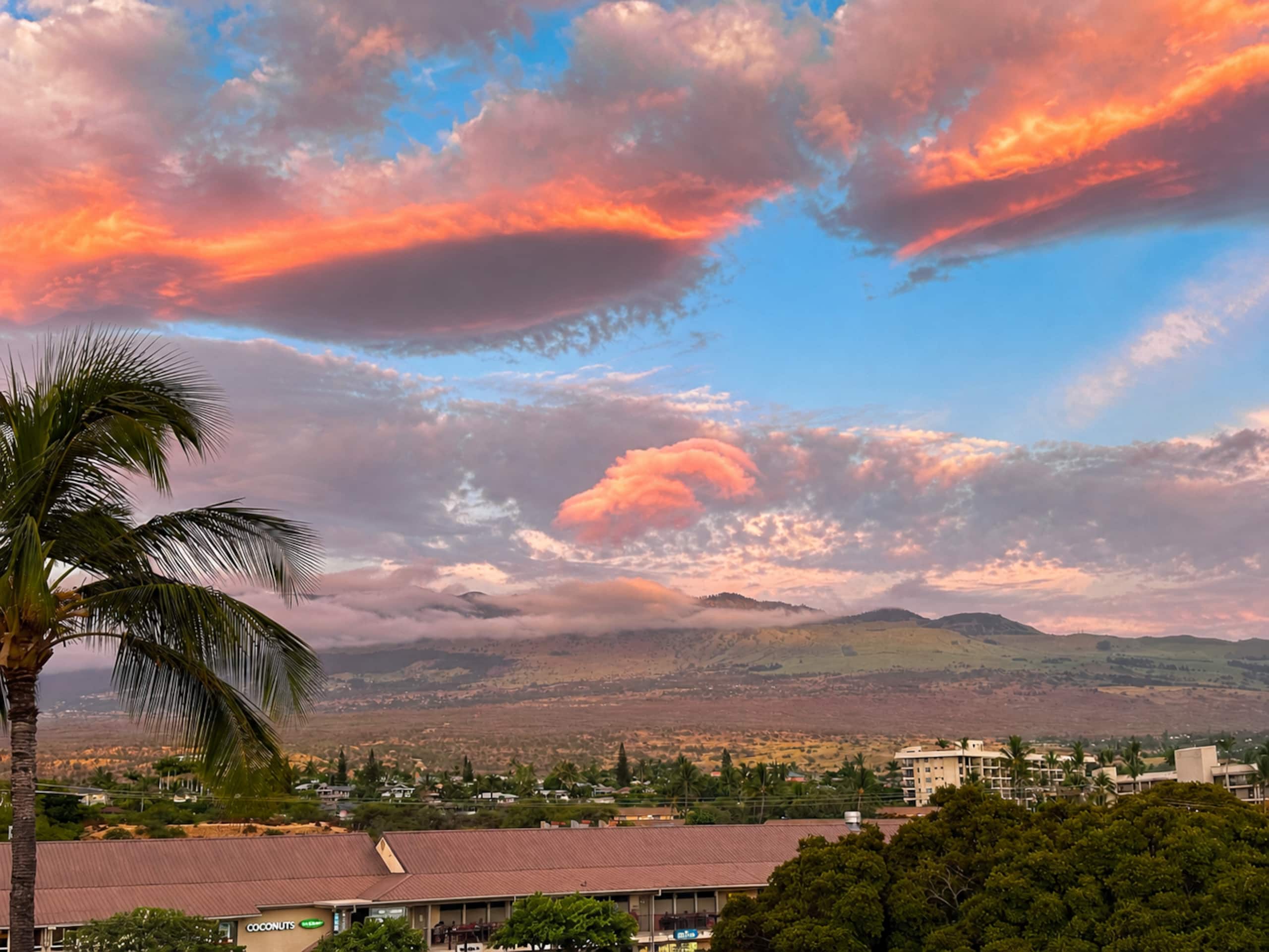 Condo in Kihei · ★4.94 · 2 bedrooms · 2 beds · 2 baths - Image 43