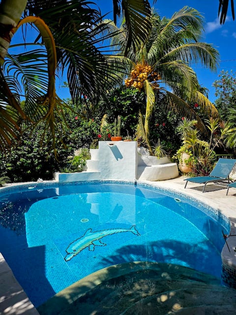 Tikofol 3 rooms - Marie Galante