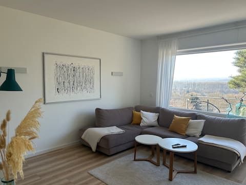 Rheintal Blick | Garage | Fireplace | Balcony