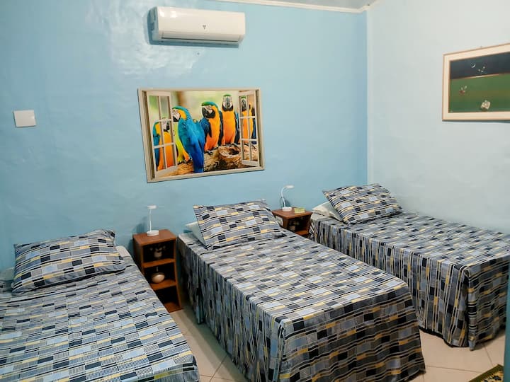 We can set One Queen Bed and One single also.