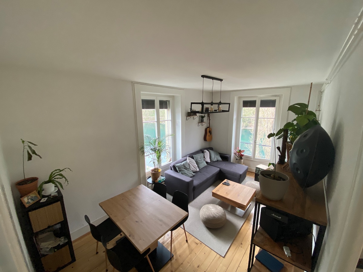 Popular Airbnb listing: Riverfront apartment in Saint Jean Et Charmilles