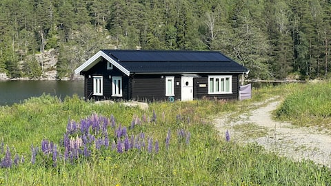 Cabin for 8 by lake near Oslo Hot tub AC Wifi