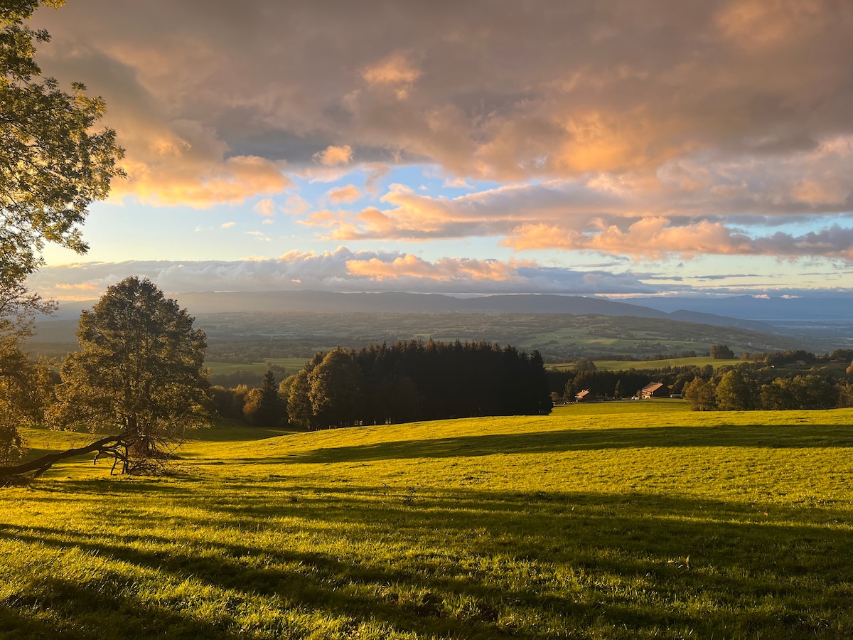 A scenic view showcases expansive green fields and rolling hills under a colorful sunset sky. The landscape reveals distant mountains, creating a serene backdrop. Shadows from trees stretch across the ground, enriching the natural beauty of the setting.